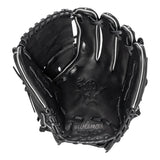 Rawlings Heart of the Hide 12" LHT - PROT2064-9B