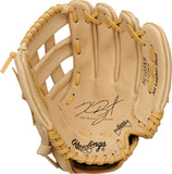 Rawlings Sure Catch 10.5" Baseball Glove - SC105KB